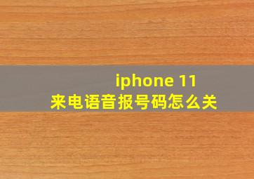 iphone 11来电语音报号码怎么关